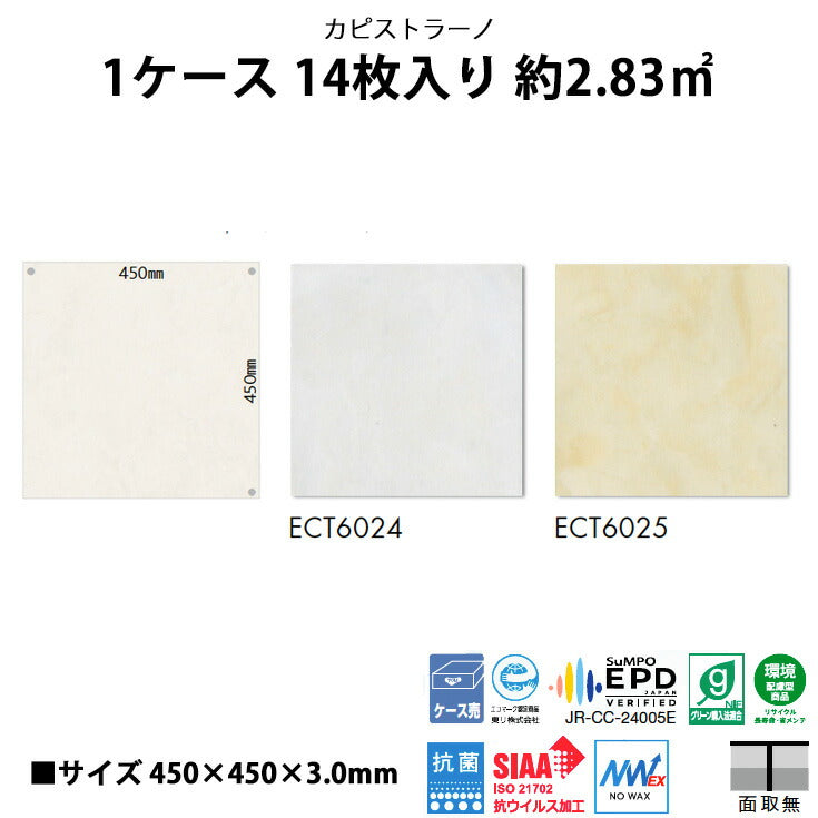 【シール式】東リ フロアタイル 石目ストーン カピストラーノ ECT6024N-6025N