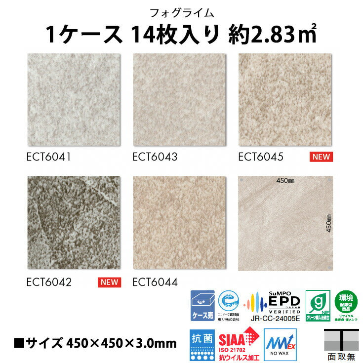【シール式】東リ フロアタイル 石目ストーン フォグライム ECT6041N-6045N