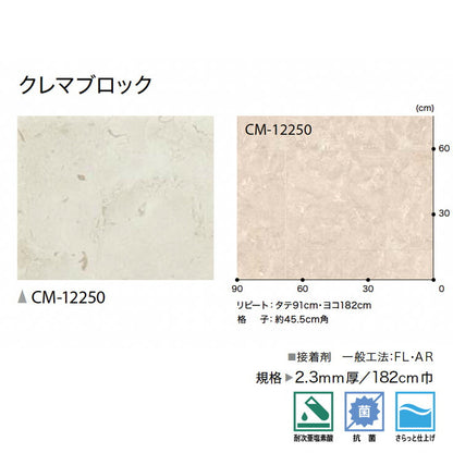 サンゲツ 店舗用クッションフロア CM12250 ストーン・石目柄