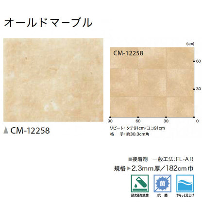 サンゲツ 店舗用クッションフロア CM12258 ストーン・石目柄