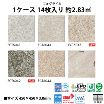 【シール式】東リ フロアタイル 石目ストーン フォグライム ECT6041N-6045N